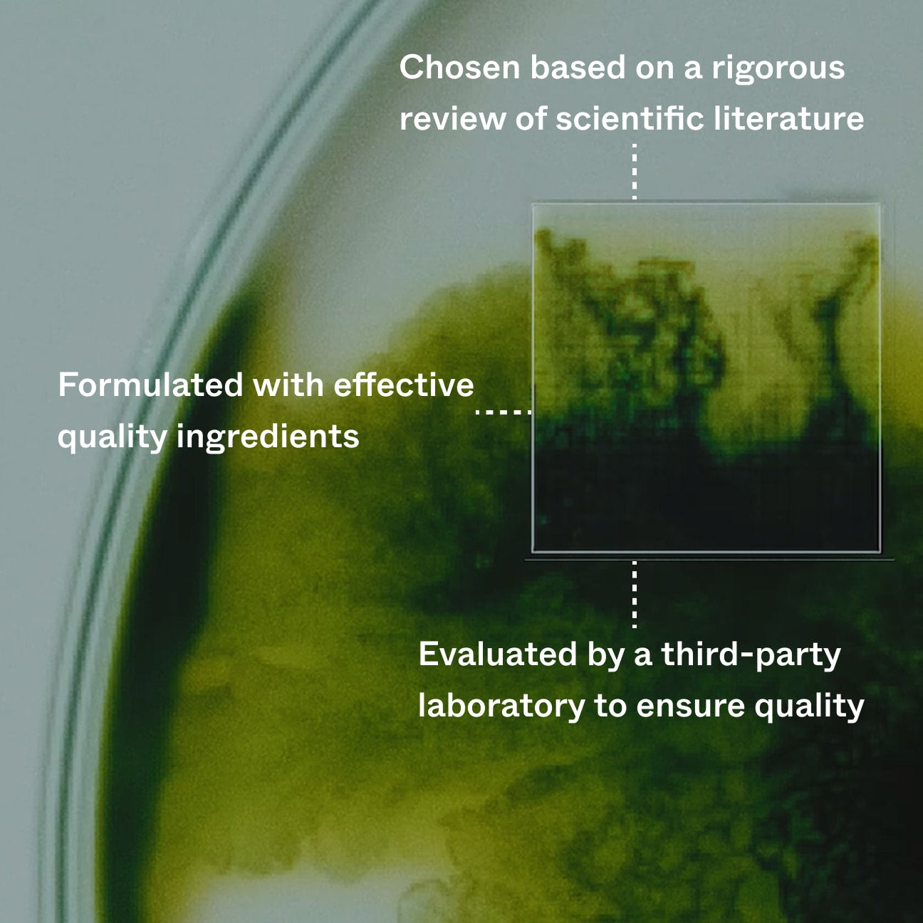 MIZORN Bio-Pilixin Activation Serum | For Men™